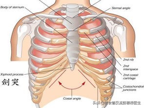 食管及剑突疼痛咳嗽咽部有异物,剑突上方灼烧感喉咙异物感