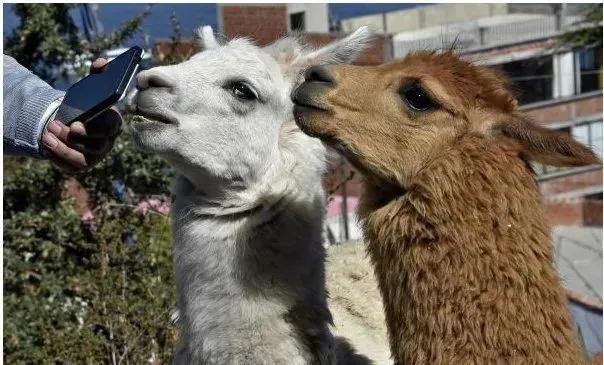 我国连续24天本土零新增；美国新冠肺炎超632万例；英国第二波疫情正到来；韩国首次召开免下车政府会议