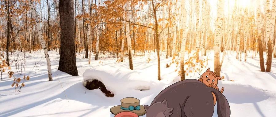 描写冬天的好词好句好段积累二字,描写冬天的好词好句好段三年级