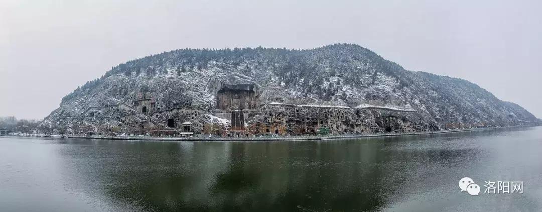 洛阳牡丹花会邀请,洛阳邀请全世界人民看牡丹