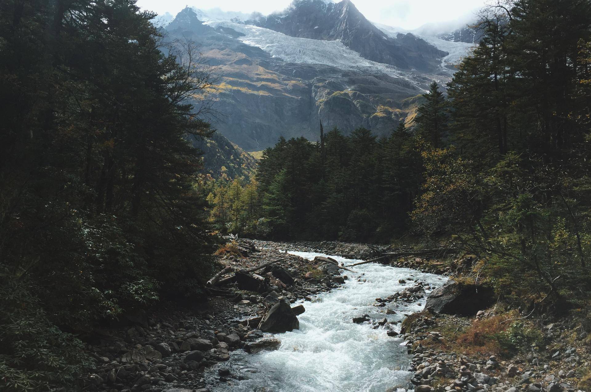 正视生活计划与健康，与Apple三设备的相伴体验报告