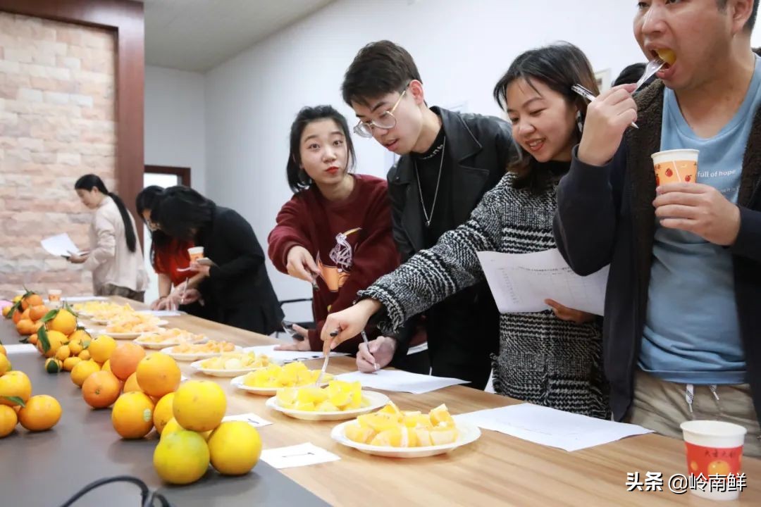 柑橘能吃出菠萝味？带你体验种植匠2020冬季柑橘橙测评