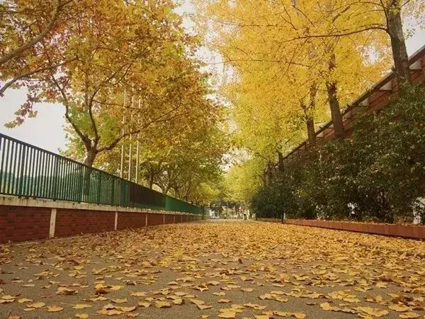 江苏三江学院,江苏三江学院录取分数线