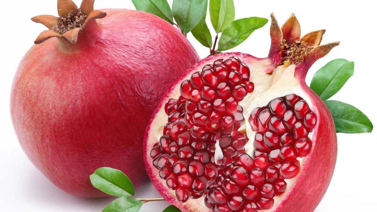 石榴籽盆栽生长过程,石榴籽种盆栽的时间选择