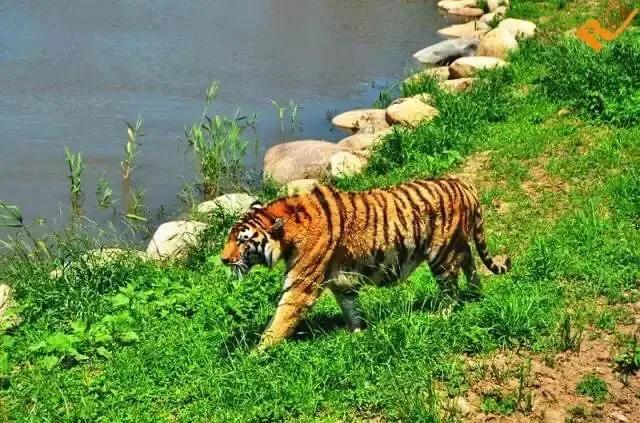 上海地铁沿线景点一日游,上海地铁11号线上海赛车场站