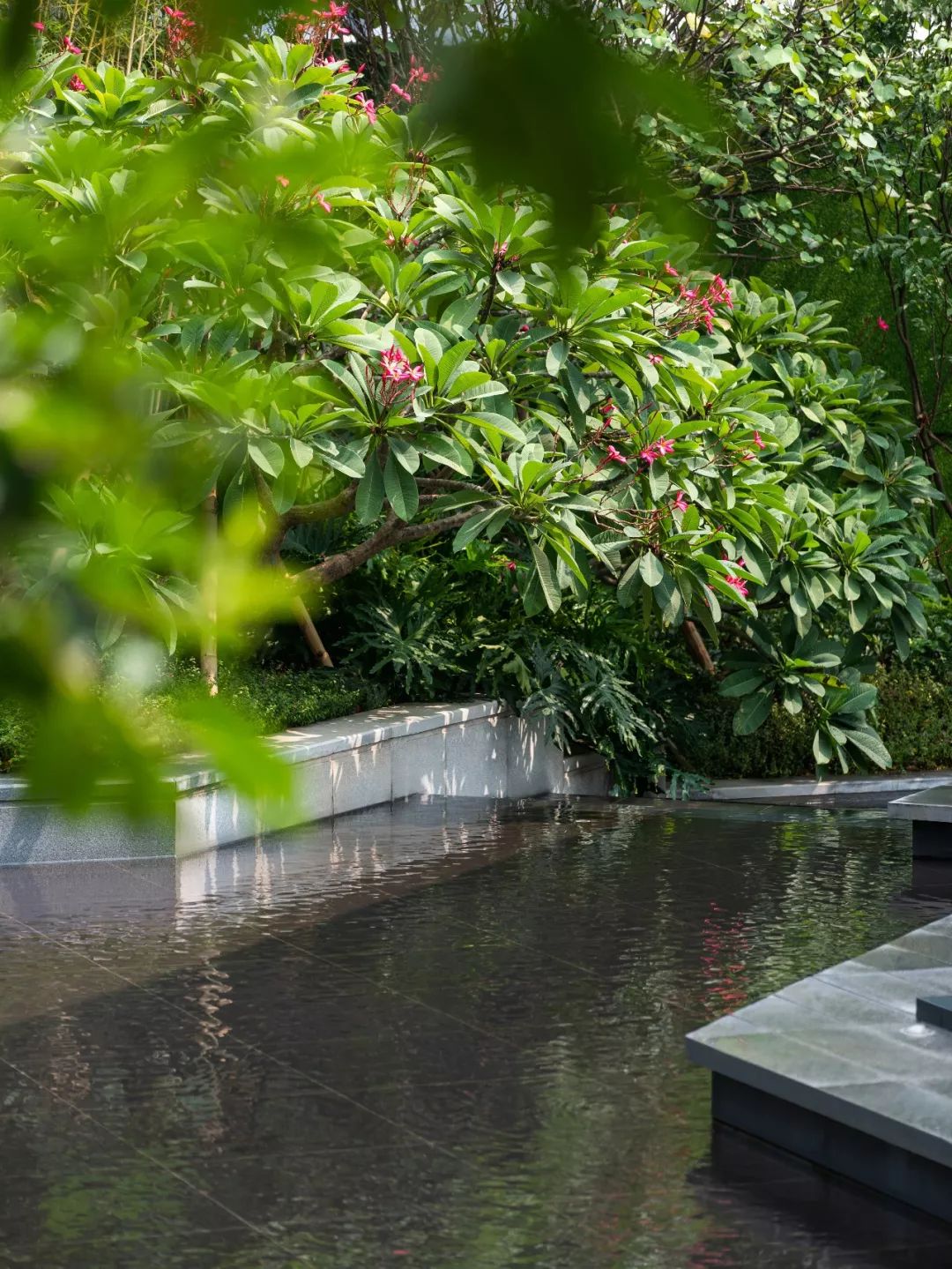 江门合景领峰在哪,江门合景领峰收楼