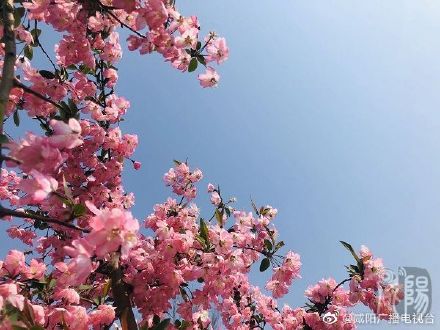 咸阳大西安文体功能区森博园,咸阳大西安文体功能区在售项目