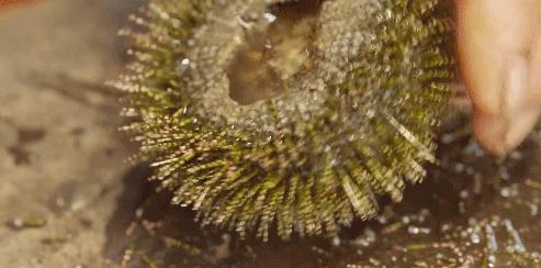 被央视表扬的b站up主,b站up主真实故事