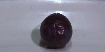 鸡蛋皮缝合手术,缝合鸡蛋膜视频教程