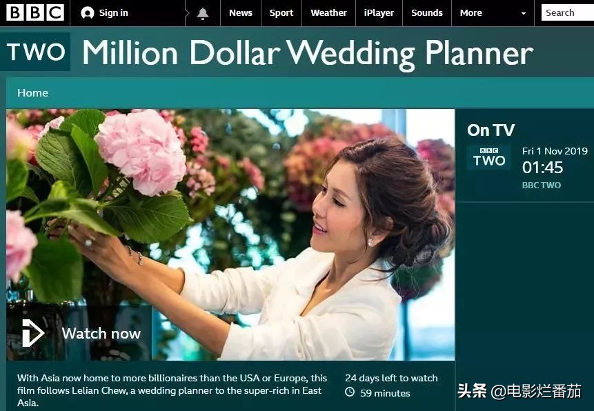 bbc纪录片案件,bbc纪录片百万婚礼策划