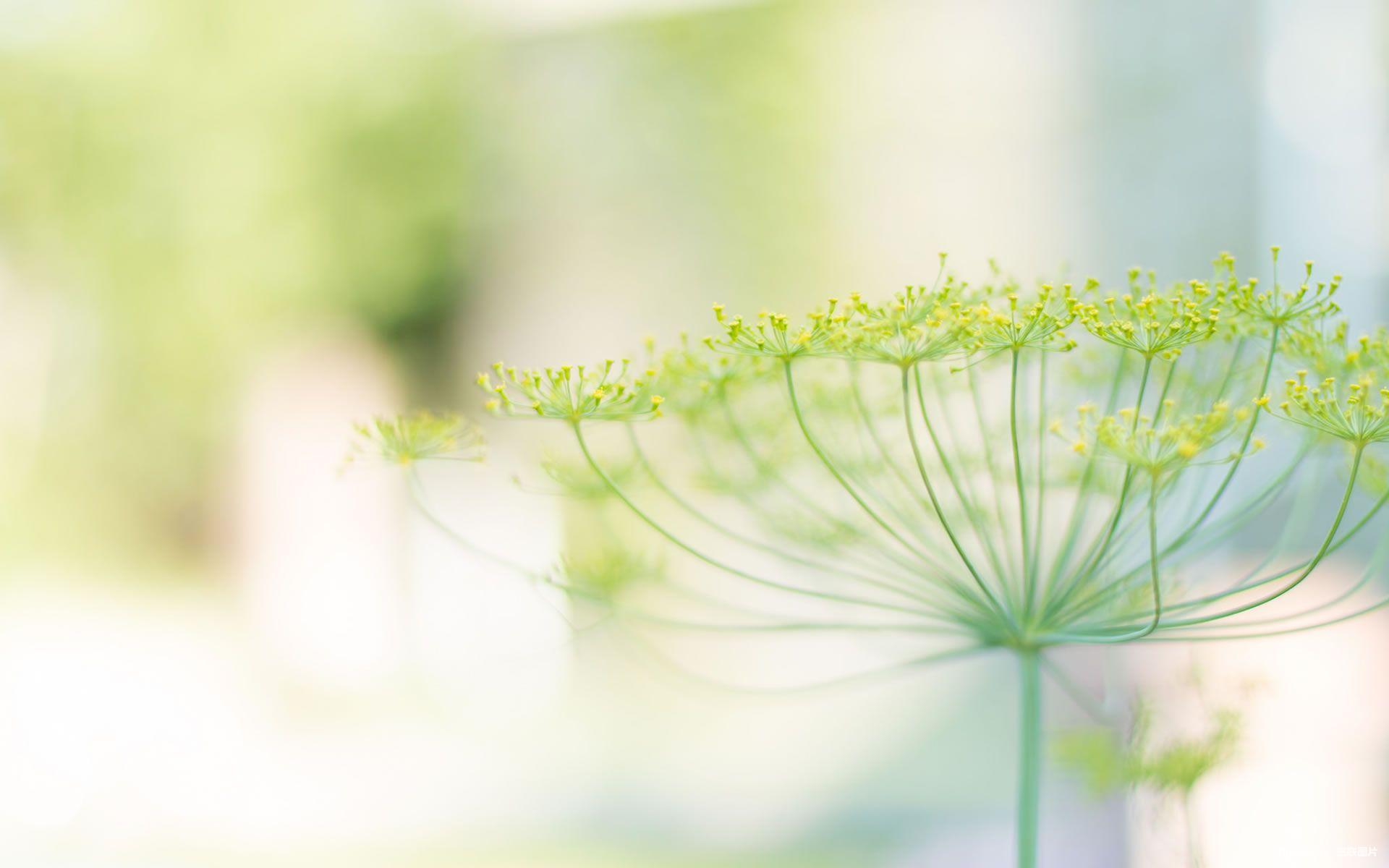 尖锐性湿疣经常反复怎么办,尖锐性湿疣反复发作怎么办