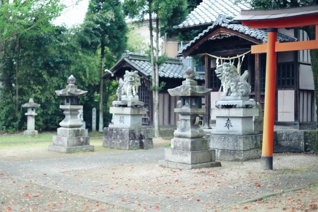 带着父母去旅行完整,带父母五天的旅行