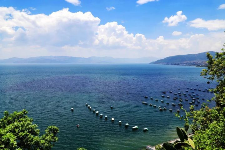 什么是云南品种,什么是云南的特色