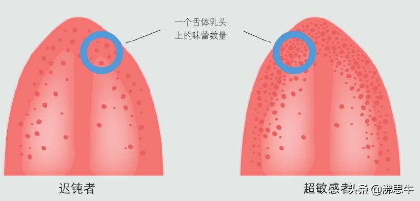 通过自己品鉴好喝的红酒,怎样品尝出红酒的年份