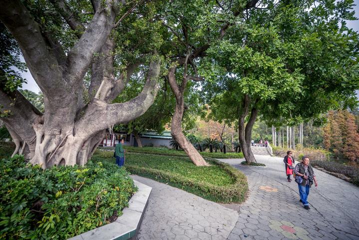 星湖冬日燃情，比落羽杉还要红的是什么？#我和湿地有个约会#