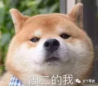 高能玩家预警,高能预警到底好不好