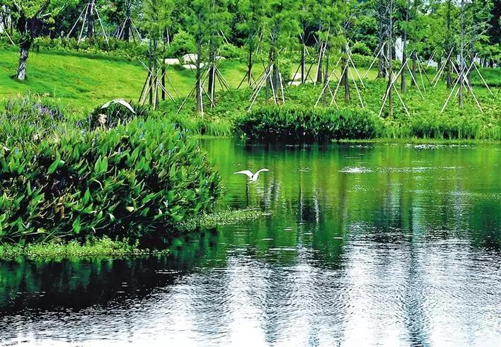 深圳遛娃必去景点免费过年,深圳适合儿童游玩的公园