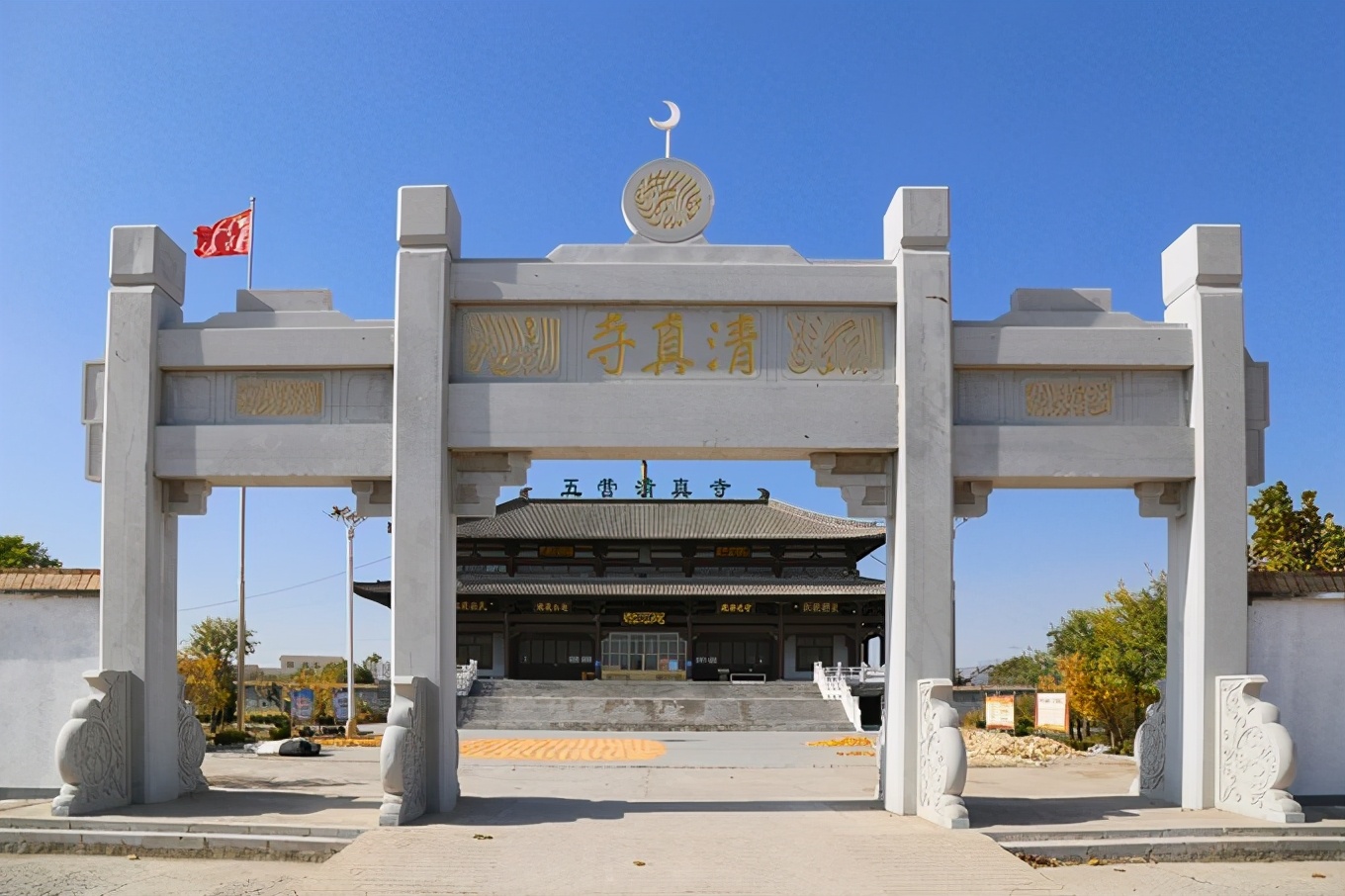 滨州有冬枣吗,产自哪里的冬枣最好吃