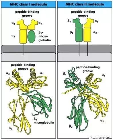 谈危色变的意思,谈危色变