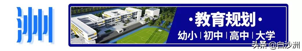 武汉市洪山区第五小学对口区域,洪山白沙洲中小学规划