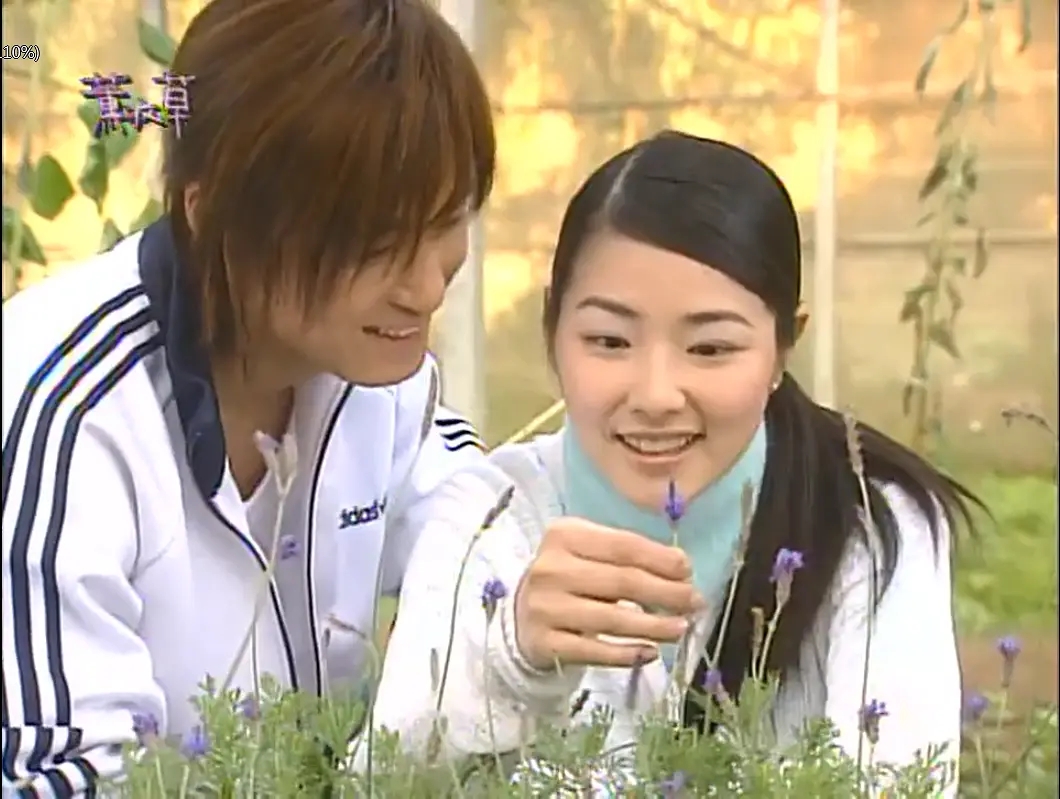 台湾十大偶像剧女神,十大经典台湾偶像剧大全