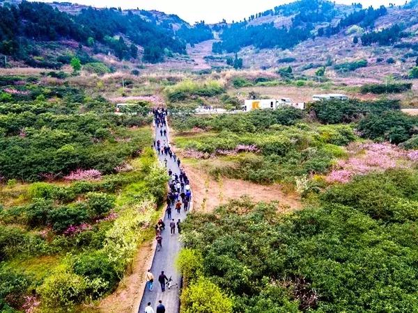 我说龙泉驿，你说好安逸！这座城的命运，正被幸福改写