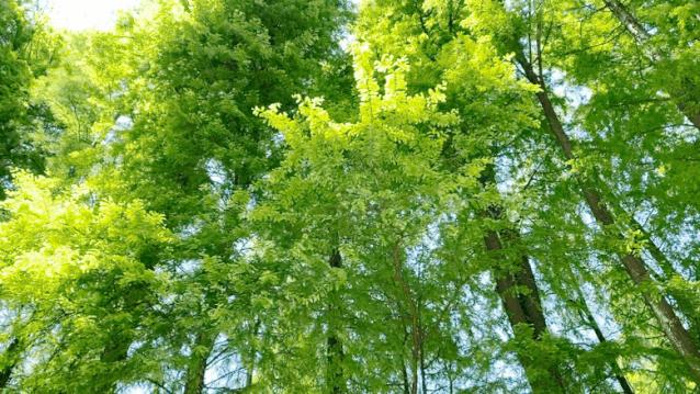 热҈热҈热҈热҈热҈！余杭超“清凉”景点集合