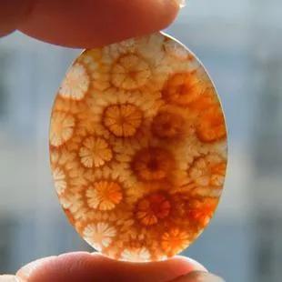 珊瑚玉有什么用,珊瑚玉怎么选