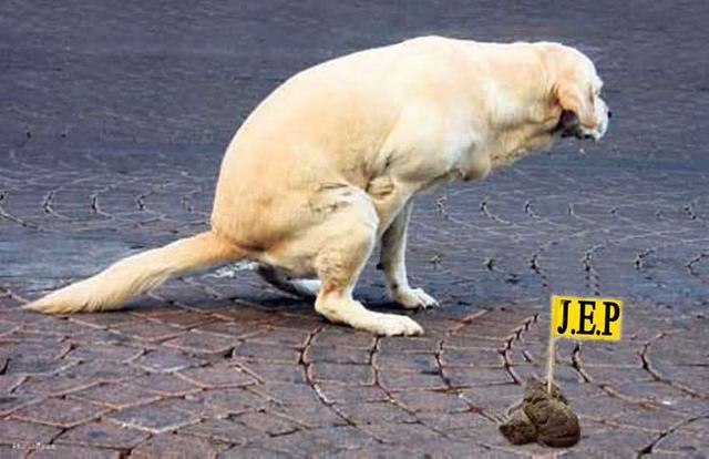 狗狗便秘有什么土方法治疗,狗狗便秘怎么解决吃什么