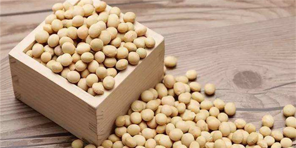 狐狸厨房|吃多会胀气的大豆，该常吃吗？