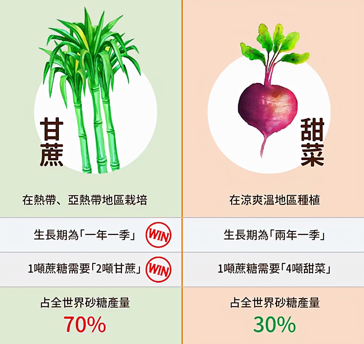 为什么工人要往水泥里加糖涨知识,水泥有油盐对水泥凝固有影响吗