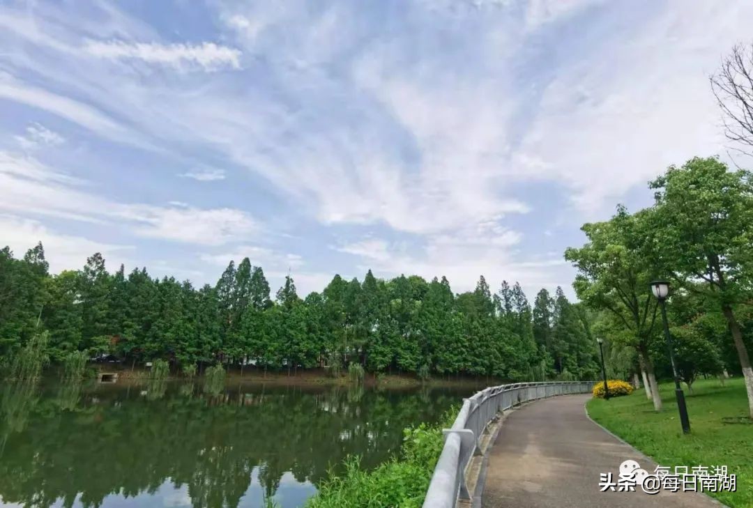 南湖的生态公园,南湖公园在未来哪里