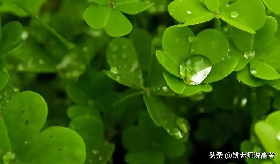 距离高考已经过去100天,距离高考仅剩29天图片