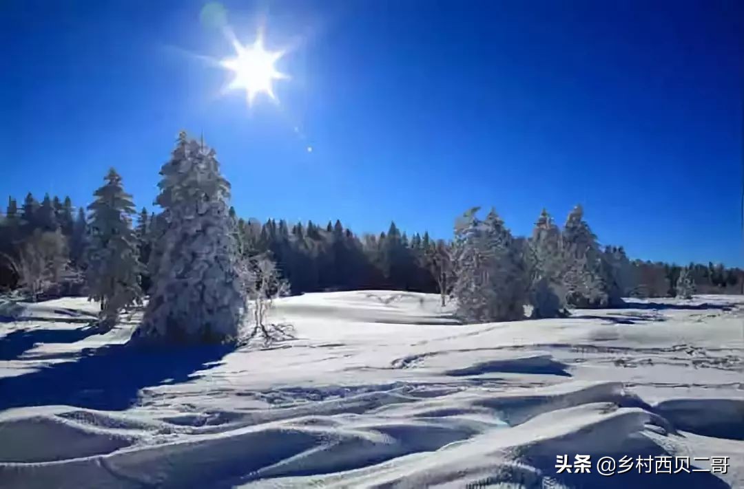 全国各地特产一览表,中国各地特产一览表