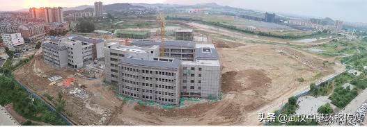 蹇冪郴姘戠敓鍙戝睍澶ц,蹇冪郴姘戠敓鍔╂帹鍙戝睍