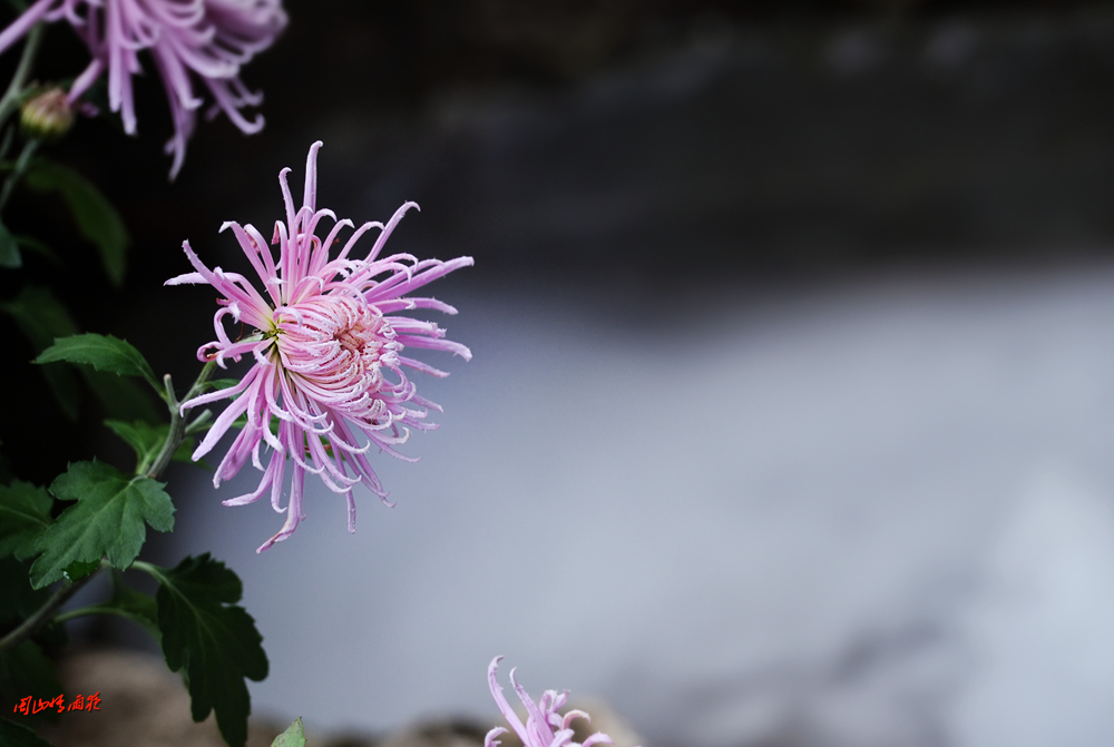 摄影就是记录流逝的时光,摄影捕捉生活的美好瞬间