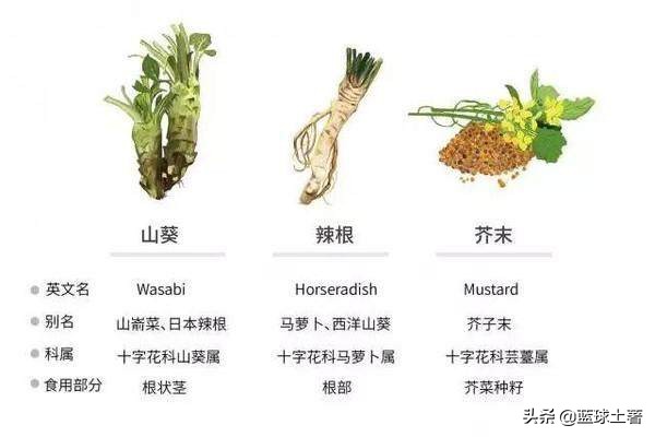 西餐不放葱姜怎么去腥,西餐放的香料