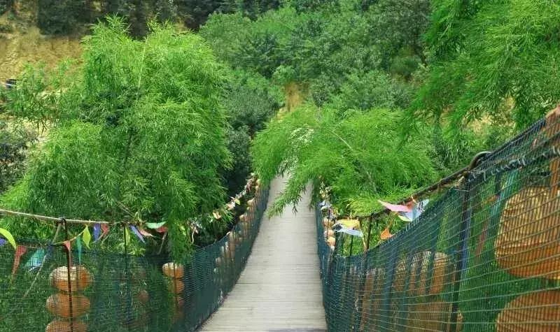 怀化农家乐和休闲农庄,怀化杨村甜蜜蜜农庄