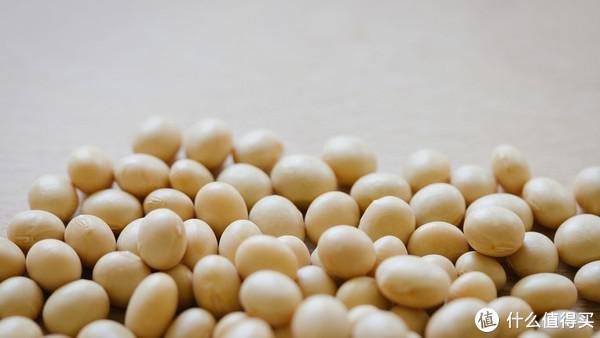 新手增肌的蛋白粉推荐,增肌粉怎么挑