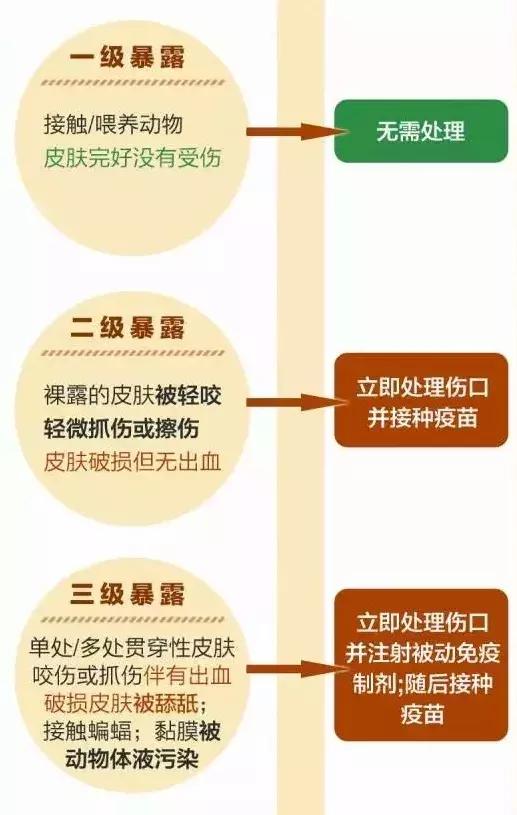 被猫狗咬伤如何正确处理,被猫狗咬伤十天了还能打针吗
