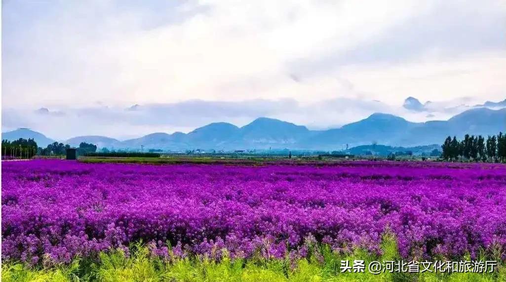 爱家乡爱保定,爱家乡游邯郸