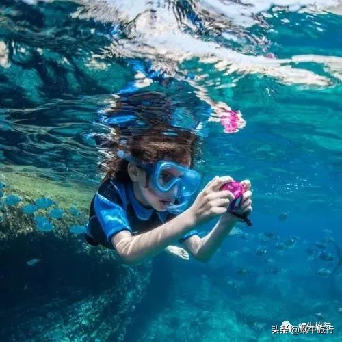 巨蜥像退休大爷休闲漫步；满海的活珊瑚、海葵…国家公园开岛啦