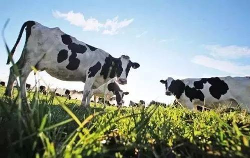 疫情囤奶粉,疫情当下囤奶粉美素佳儿图片