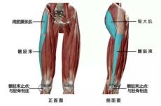 大腿外侧髂胫束综合征快速恢复,跑步如何避免髂胫束综合征