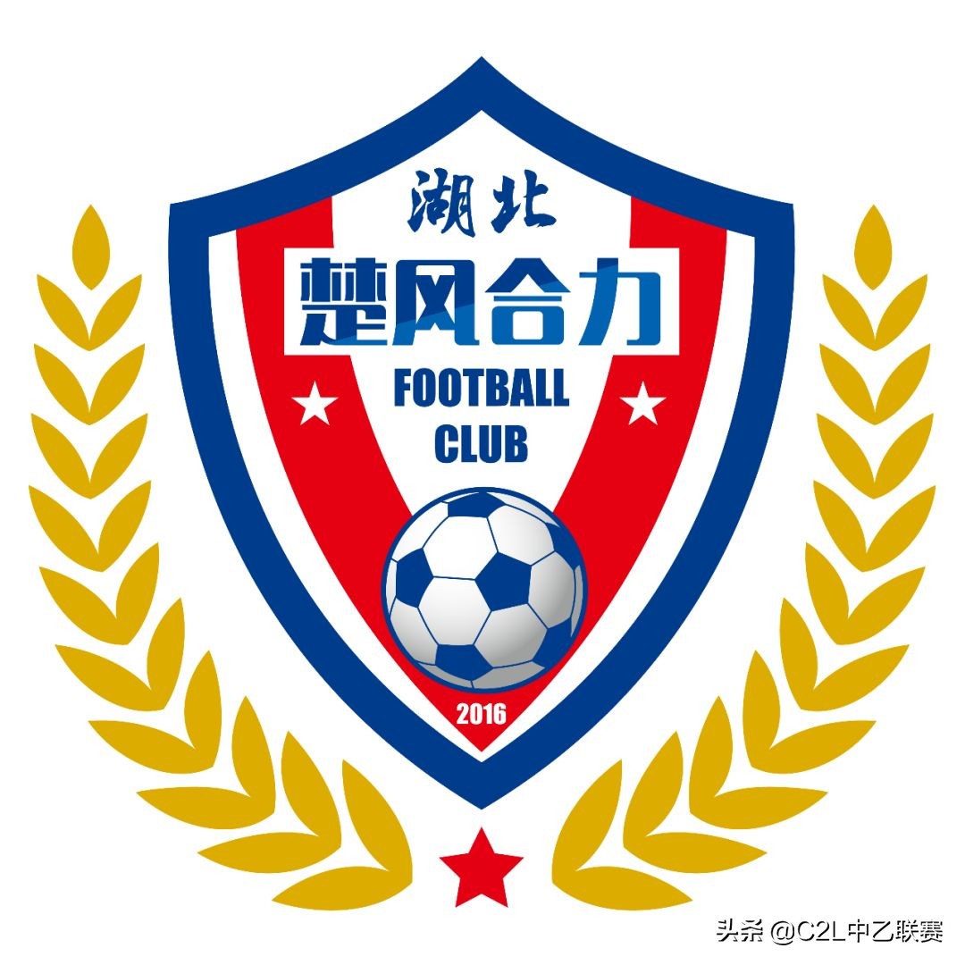 2018年32强足球队队徽,2016中乙队徽