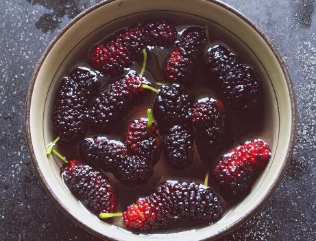 新鲜桑葚泡酒的正确方法视频,新鲜桑葚泡酒的制作方法是