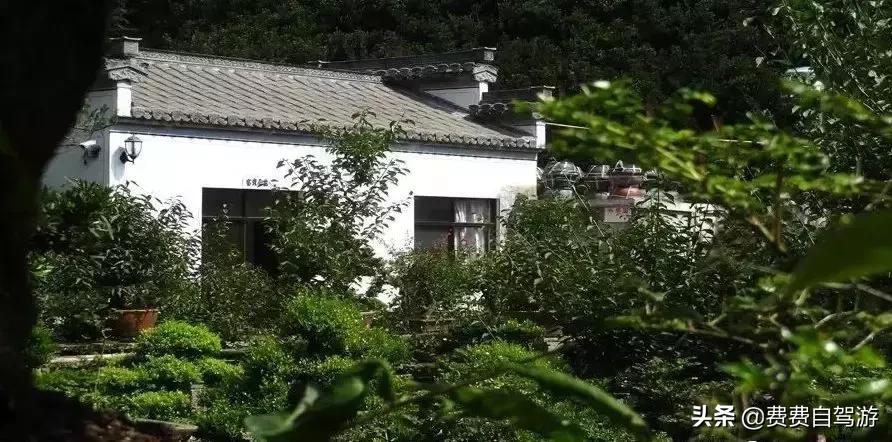 3月皖浙一号公路自驾攻略,浙皖一号公路周边自驾游