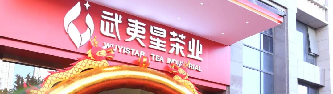 风云闽商|武夷星何一心：一心做好茶，用科技赋能茶产业