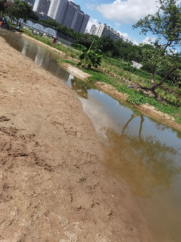 广州好玩的亲子农场,亲子农场广州