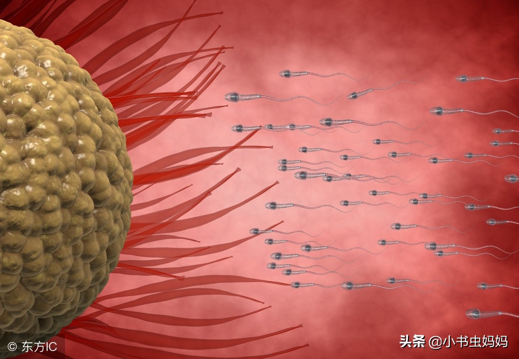 备孕一年没怀怎么助孕啊,如何备孕不会怀孕